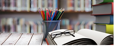 Licenciatura em Pedagogia 