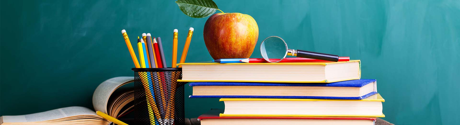 Licenciatura em Pedagogia  -  Dual Degree